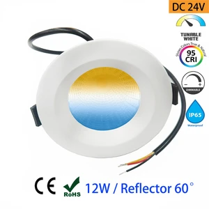 Benory 2700K 6500K CCT Loxone 24V Dali Dt8 Dimmable Spots KNX Tuya Wify Casambi Control4 PWM DMX Smart Led Downlight 12W Cri95