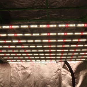 800W Hydroponics Garden Growing System Indoor Plant Full Spectrum Led Grow Light