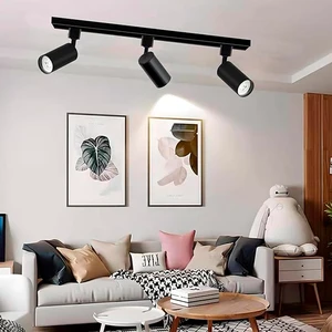 ETL Listed High Quality COB Led Track Light 10W 20W 30w Track Spot Light 5CCT Led Track Light For Clothing Shop