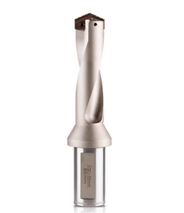 Diameter 17.6-24.4mm Spade Drill Fast Shovel Drill Rod with Internal Coolant Hole for Deep Hole Drilling Tools