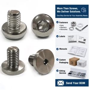 Stainless Steel Ultra Low Profile Torx & Hex Drive Screw Kit Large Flat Head Fastener With Custom Kitting Service