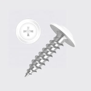 Waterproof and Rust-proof Color Painted Truss Head Self Tapping Screw