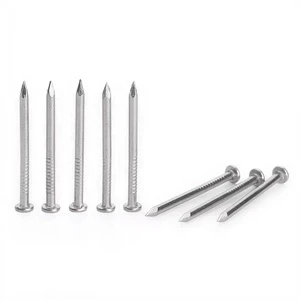 Common Nails 2D-60D - Nail for Heavy Duty Construction/Crate Assembly