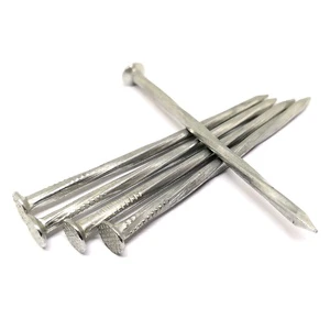 Hot Sale Screw Galvanized Spiral Spike Nails