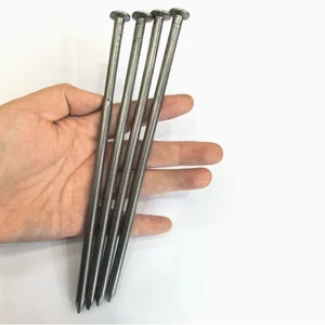 200mm- 350mm Large Common Nails/ Long Iron Nails / Big Wire Nails with Factory