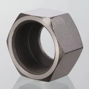 Zinc Nickel Plated Pipe Nut Hydraulic Fitting for Tools Accessories for Hydraulics