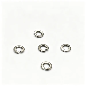 Customized Din127 Zinc Plated Carbon Steel Spring Lock Washers Din127