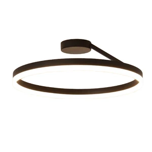 2025 Custom Modern Chandeliers Pendant Light Nordic Acrylic LED Aluminum Ceiling Lamp Hanging Circle Ring Eye Caring Room Hotel