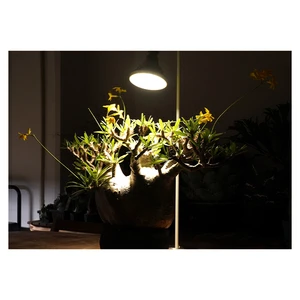 Top-Class 20W LED Plant Growing Light Exceptional Quality with 2000 WAP for SUN Full Spectrum IP65 Rating