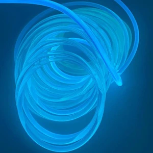 Hot Sale 10mm LED Fiber Optic Swimming Pool Light Cable Premium Lighting for Your Pool