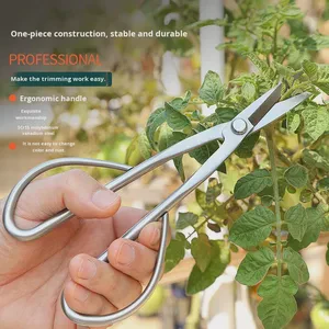 All-Steel Integrated Pruning Scissors Tender Leaf Bud Scissors for Flower Arrangement Bonsai Gardening Tools Secateurs A25