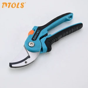 DTOLS 420 Stainless Steel Anvil Pruners Built-in Spring Heavy Duty Garden Shears