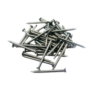 Common Wire Nail 1 Kg Per Box 25kgs Per Carton Iron Galvanized Concrete Nail For Wood
