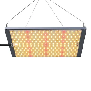 Top Selling Indoor Plants Growth Full Spectrum LED Grow Light LM301H LM301B 120W Aluminum Body High PPF White IP65 Bloom