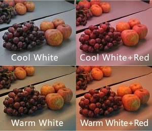 Hot Sales 5 Years Warranty SMD5050 LED Strip Light Fresh Light for Meat Vegetables Fruit Bread Sea Food