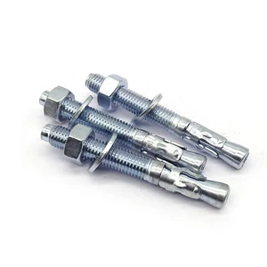 Concrete Fixing Expansion Anchor Carbon Steel Grade 4.8 Grade 8.8 Hot Dip Galvanized Wedge Anchor