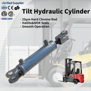Precision Steel/Stainless Steel Double Acting OEM Fit Hydraulic Cylinder for Forklift Excavator Tractor