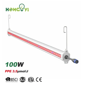 HongYi 100W 8FT LED Grow Light PPE 3.5μmol/J Interlighting for Horticulture High-wire Vegetables Leafy Vegetables Herbs Fruits