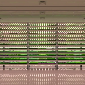 High PPFD LED Grow Light Fixtures for Leafy Greens OEM Project Design Indoor Farming Lighting Manufacturer Supplier