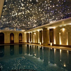 Led Fibre Optic Sky Stars Lights Ceiling Twinkle RGBW 800 Optical Fibre Stars Ceiling Light