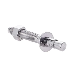 Stainless Steel Galvanized Custom 20mm M12 18mm M20 8mm M6 M8 16mm Diameter M10 M16 M24 Expansion Wedge Anchor Bolt for Concrete