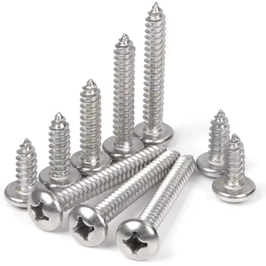M2 M3 M4 M5 M6 M8 M10 A4 DIN7981 Stainless Steel Ss 304 316 Custom Self-tapping Cross Phillips Pan Head Wood Self Tapping Screws