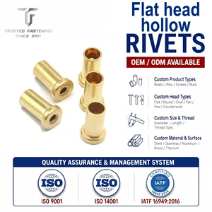 TianFang Custom Brass Flat Head Hollow Rivets Iron Titanium Bulk Supply OEM Precision Fasteners for Electronics Automotive
