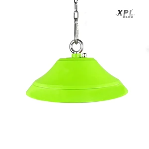 Hot Selling 150W LED Fruit Light for Supermarket Warehouses Green Housing with IP65 Aluminum Lamp Body