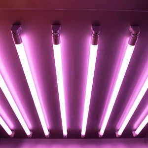 Fresh Meat Light T8 Led Tube Lamp Pink Tube Light for Supermarket Fresh Food Lamps No Flicke Pf 0.9 Led Bread Light T8 Tube