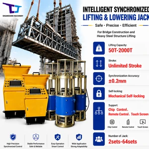 Self-locking Safety Guarantee Hydraulic Lift Jack System Wholesale Price for Commercial Building Elevation