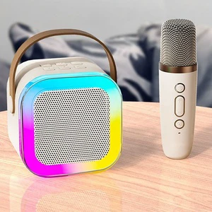 New Wireless Mini 5 Watt Music Subwoofer Karaoke Gaming Party Box Professional Woofer Active With Mic And Blue-tooth