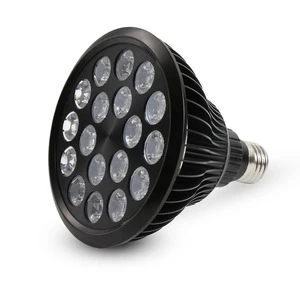 E27 Red Infrared Incandescent Halogen Therapy Lamp Bulb Thermal Therapy Tungsten Filament NIR Light for Relax and Home Use