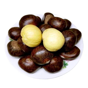 High Quality Hebei Kuancheng Chestnut