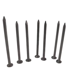 China Manufacturer Polished Bright Common Iron Mild Steel Wire Nail With Various Size for Construction Woodworking