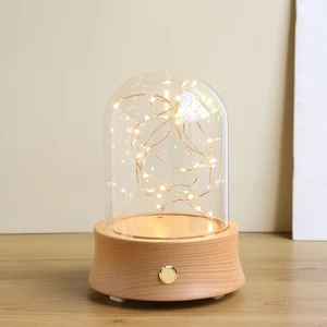 Wholesale DIY Flower Glass Dome Led Light Table Lamps Home Decor Wooden Music Box