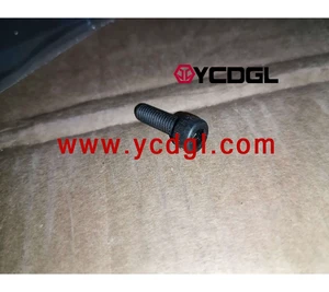 High Strength Bolt T2233022