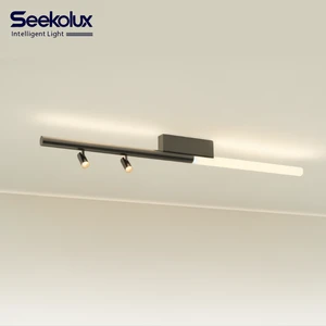 New Arrival Decorative Lamp for Indoor Light Modular Track Spotlight Accessory Wall Lamp Glowing Track LED Ceiling Light Magnet