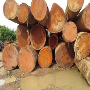 8-9cm Natural Wood Eco-friendly Red And White Sandalwood Logs For Sale