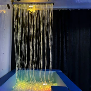 Special Education Interactive Visual Fibre Optic Curtain Color Changing Fiber Optic Curtain LED Sensory Equipment for Autism