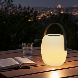 Rechargeable Remote Controlled Cordless Wireless Speaker Music Light Lamp with Customized LOGO