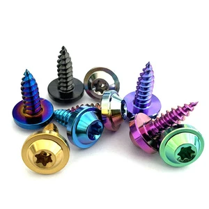 Screw Fasteners Low Price Wholesale Titanium Alloy Self-tapping Screws GR5 Titanium Screw Order