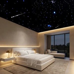 16W Bedroom Good Durability LED Fiber Optic Lighting Starry Sky Ceiling RGB Light Kit