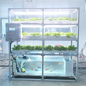 Eco-Friendly Recirculating Aquaponics System With LED Plant Lighting Fish Integration Indoor Vegetable Cultivation
