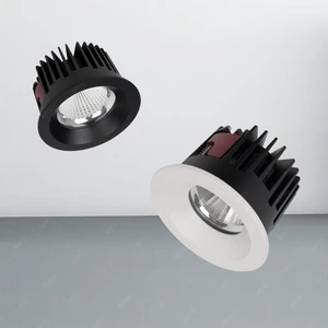 Modern Design IP65 Waterproof Die-Cast Aluminum COB LED Downlight 10W-40W Variants Indoor Hotel Home Commercial Use Adjustable