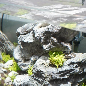 11000K & 16000K Full Spectrum Aquarium LED Light Reasonable Cost with E26 Base Type