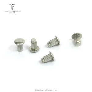TianFang 304 Stainless Steel GB827 Solid Pan Head Rivets | M1.6 M5 Precision Fasteners ISO9001 IATF16949 Certified Customizable