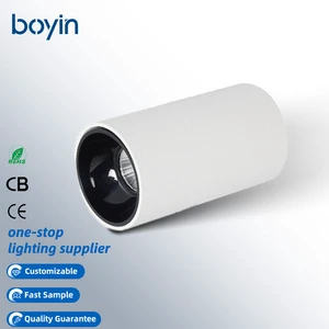 2026 New Arrivals 15w IP20 Cut Hole Aluminium Downlights Led Recessed Downlights Led Dimmable 15w 220v Adjustable