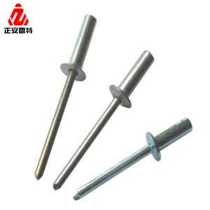 Carbon Steel/Stainless Steel Closed End Blind Rivets Head Solid Pop Rivets ISO Standard Grade Class 6 Heat Resistant Rivet
