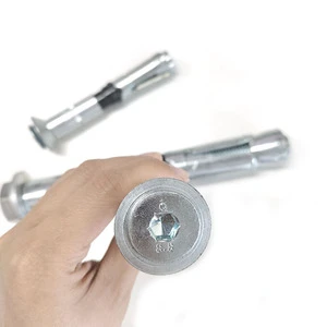 ETA CE Heavy Duty Expansion Bolts Grade 8.8 With DIN9021 Big Washer Black Nylon Heavy-duty Expansion Anchor for Fixing System