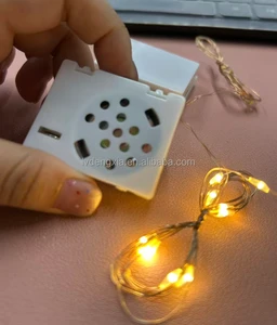 Copper Wire LED String Light with Music Box Mini Fairy String Light Sound Box for Toys Cake Gift Boxes Flowers String Lights
